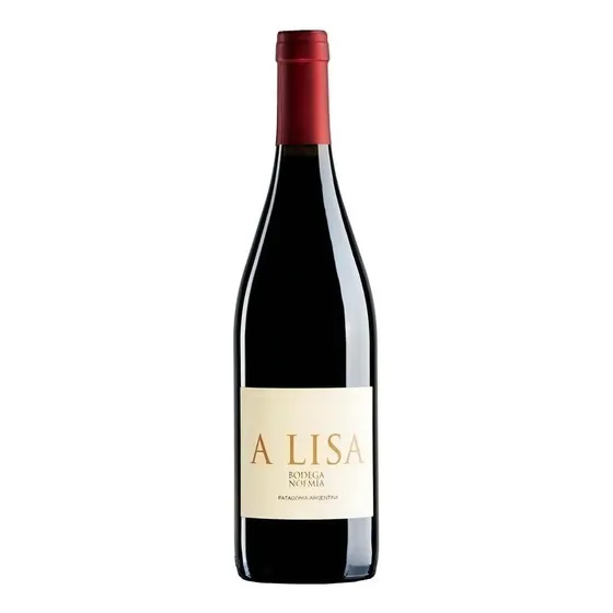 A Lisa Malbec - Bodega Noemía.